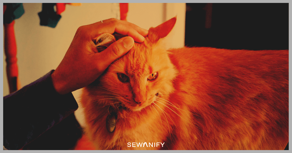 Sewanify Article61